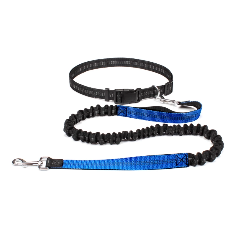 The Ultimate Adventure Hands-free Dog Lead