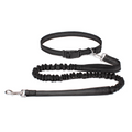 The Ultimate Adventure Hands-free Dog Lead