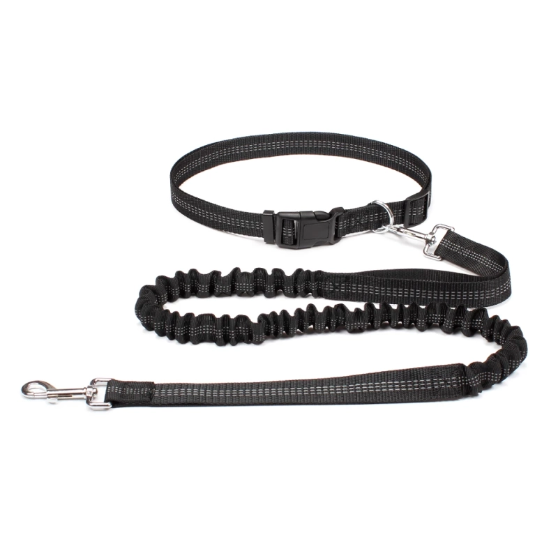 The Ultimate Adventure Hands-free Dog Lead